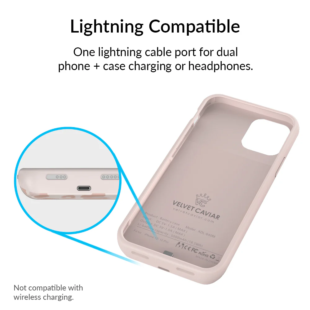 Blush Leopard iPhone Charging Case - Image 30