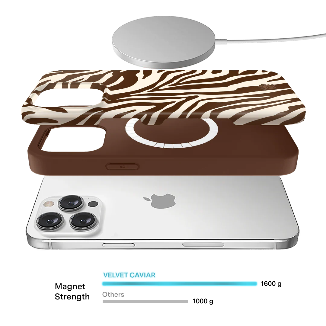 Coco Zebra iPhone Case - Image 33