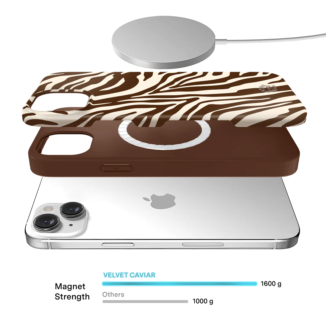 Coco Zebra iPhone Case - Image 58