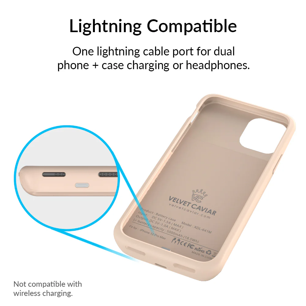 Nude iPhone Charging Case - Image 66