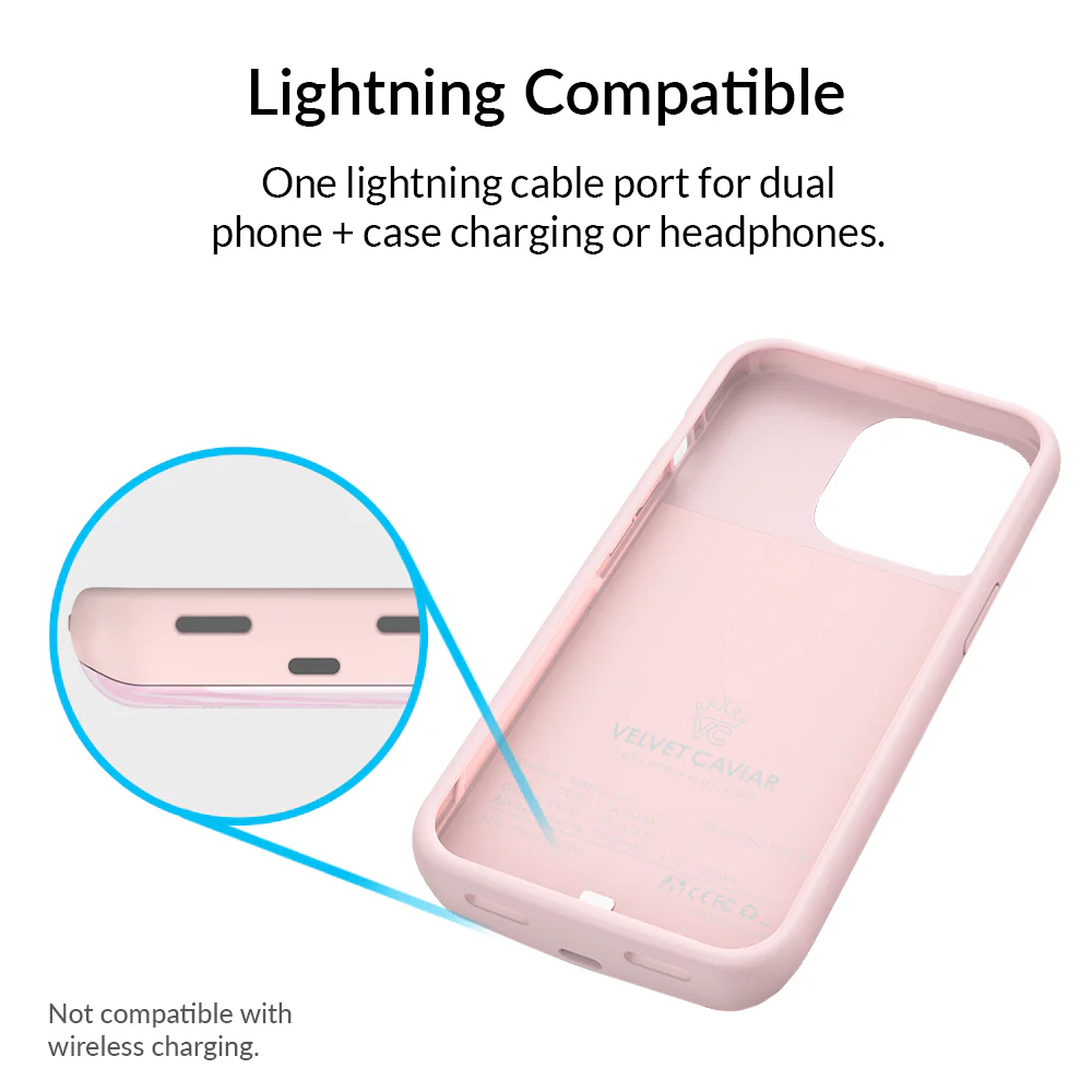 Pink Zebra iPhone Charging Case - Image 18