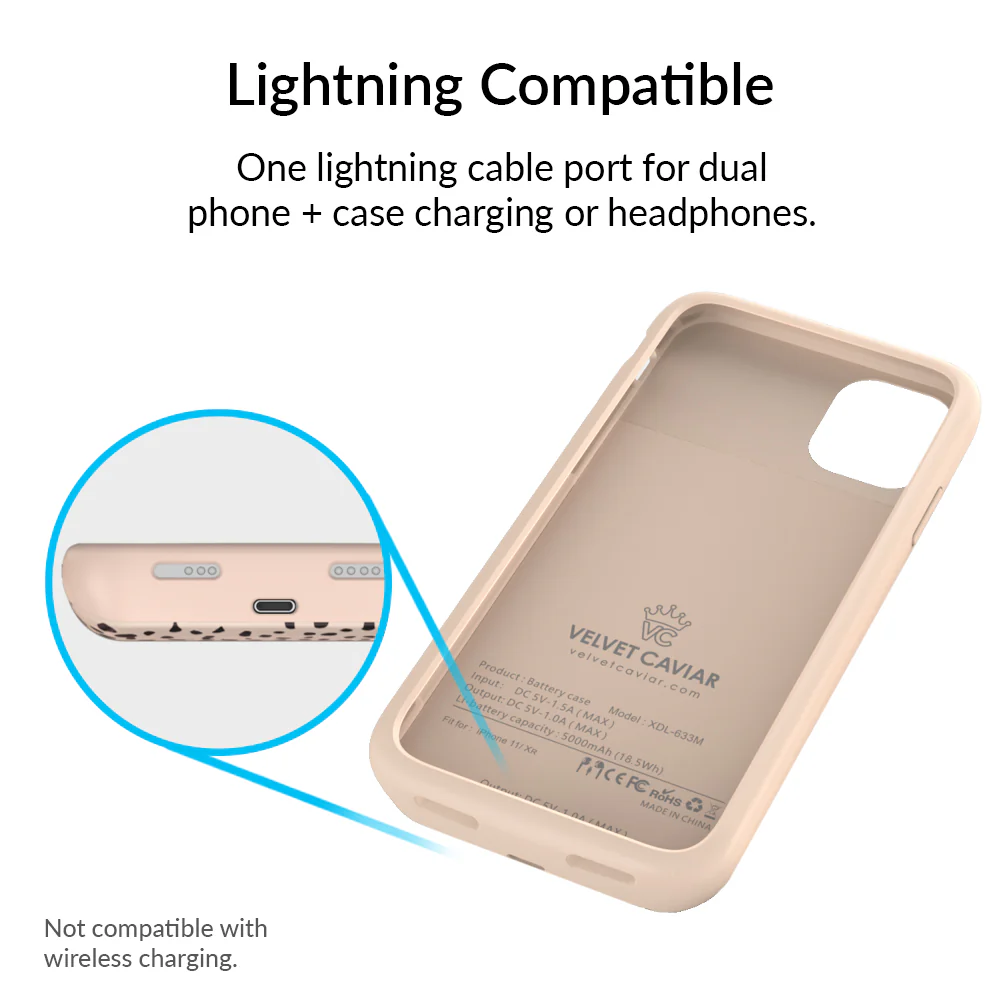 Spotted Cheetah iPhone Charging Case - Image 56
