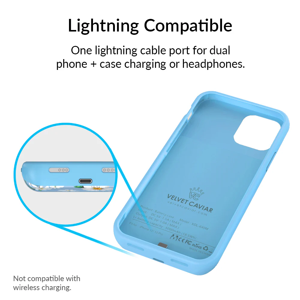 Daisy iPhone Charging Case - Image 35