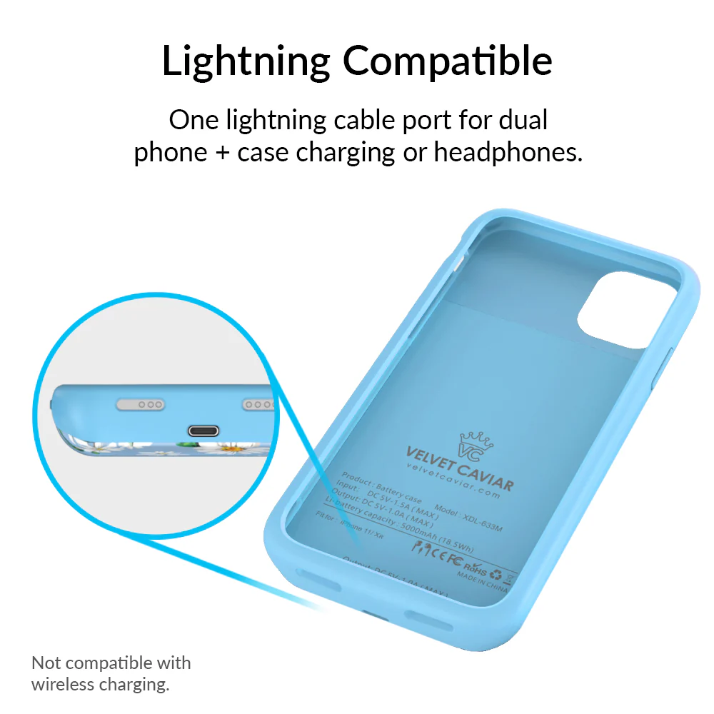 Daisy iPhone Charging Case - Image 63