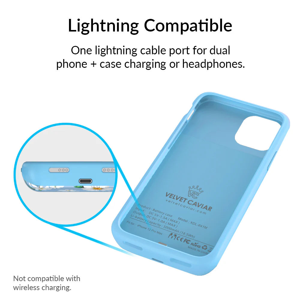 Daisy iPhone Charging Case - Image 70